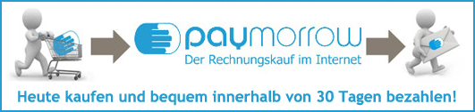 http://www.motokay-scp.de/layout/ebay_vorlage_scp_2010/paymorrow_banner.gif